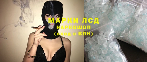 прущие грибы Алексеевка
