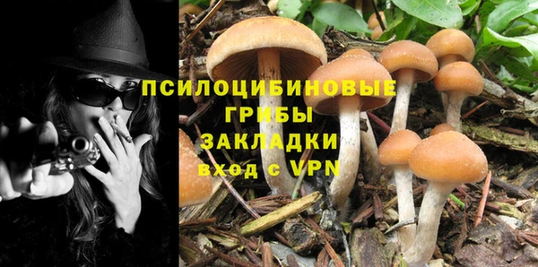 мет Абинск
