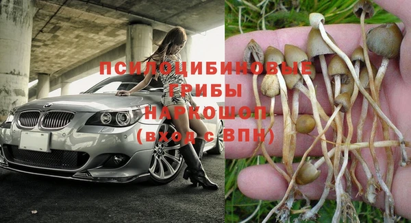 мет Абинск