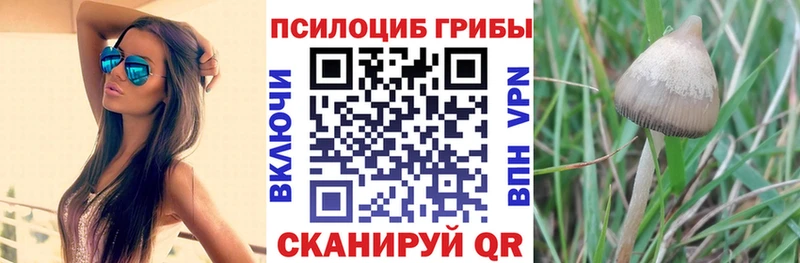 Галлюциногенные грибы ЛСД  кракен маркетплейс  Рославль 